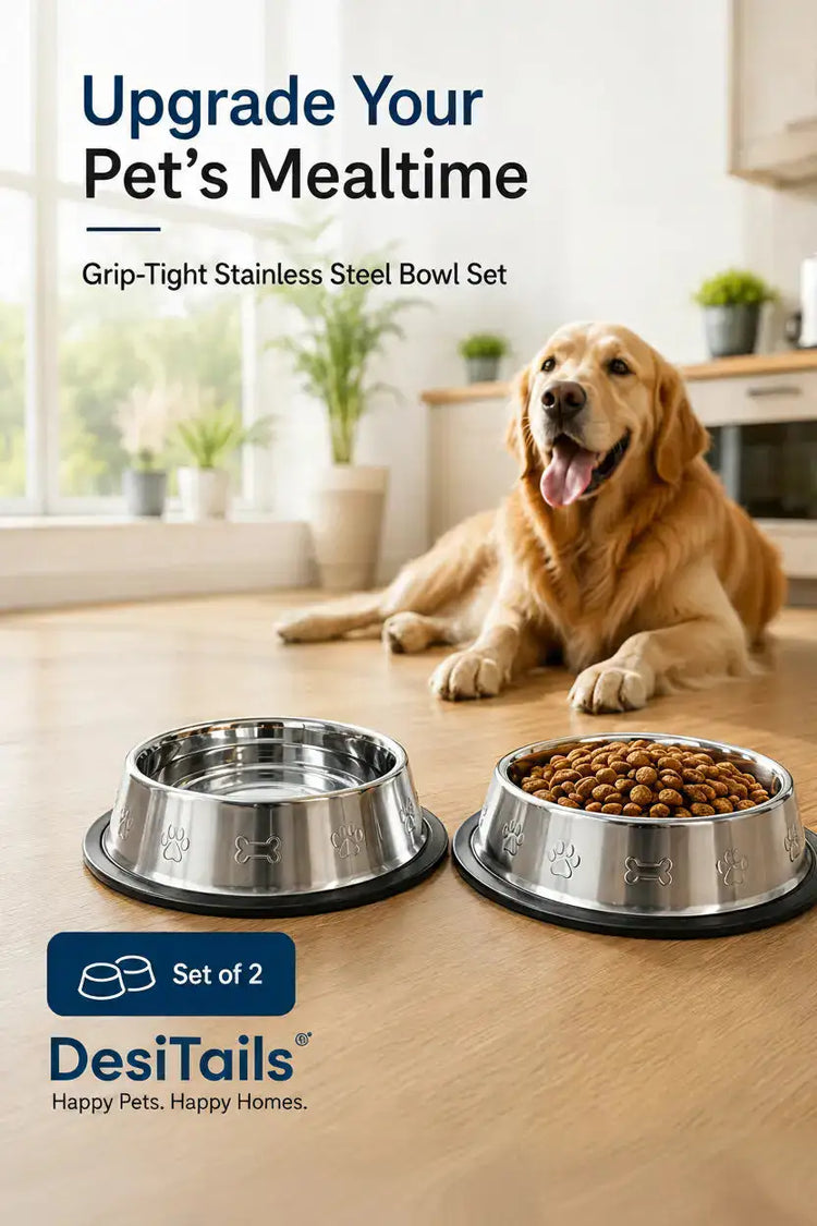DesiTails® Grip-Tight Stainless Steel Pet Bowl - Set of 2