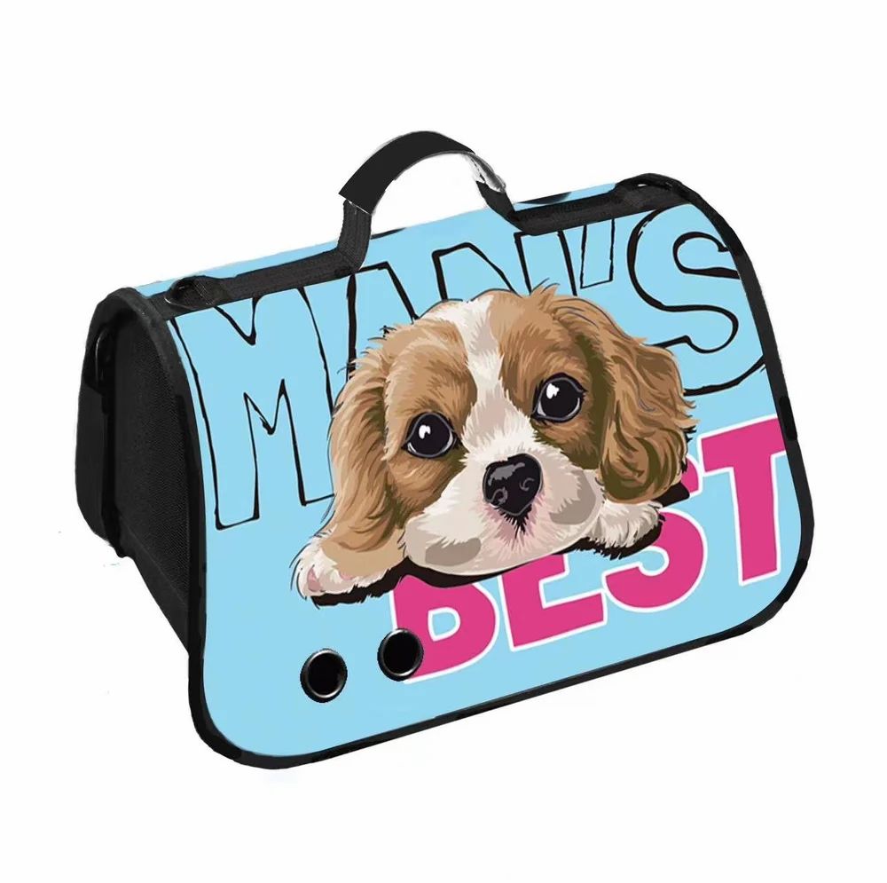 18" Shoulder Style Cat Carrier Travel Bag - GleeKart