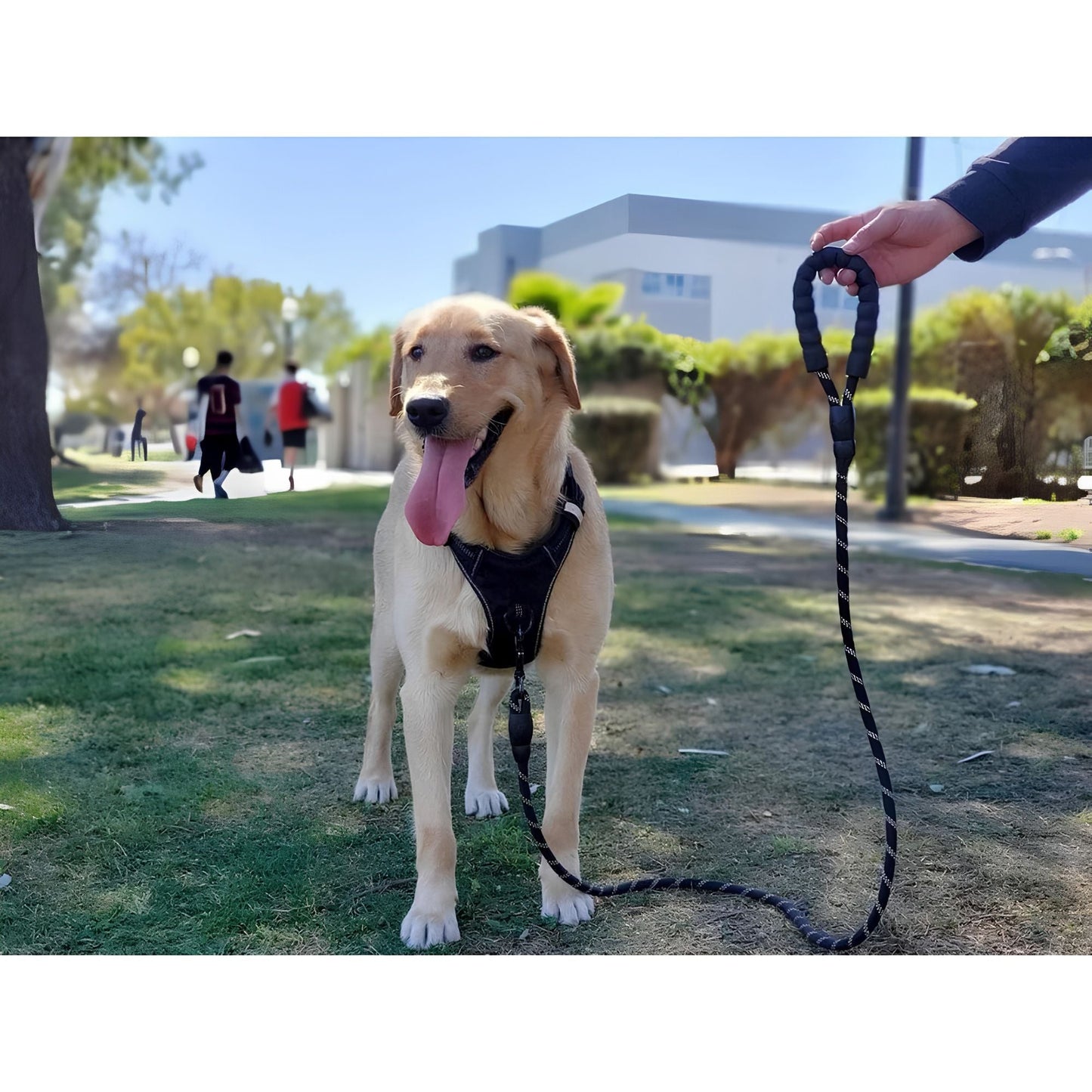 DesiTails® Reflective Rope Dog Leash – Padded Handle, 360° Metal Clasp, 5 ft | For Small, Medium & Large Dogs