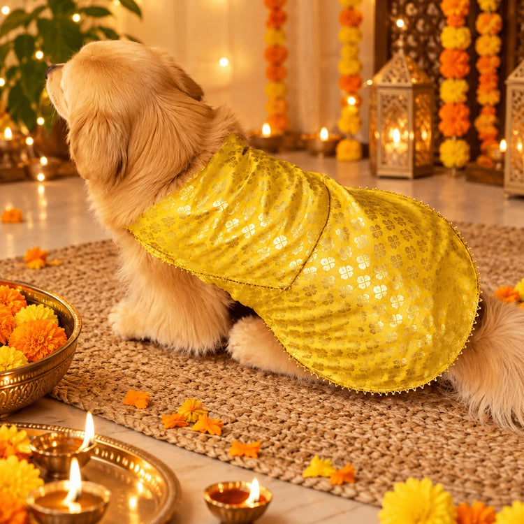 DesiTails® Festive Wedding Kurta for Dogs DesiTails®