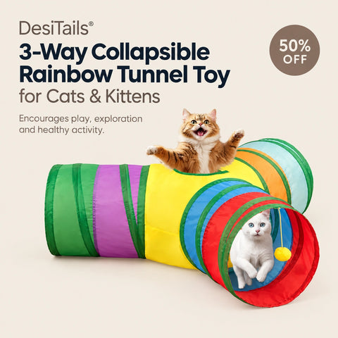 DesiTailsĀ® 3-Way Collapsible Rainbow Tunnel Toy for Cats & Kittens