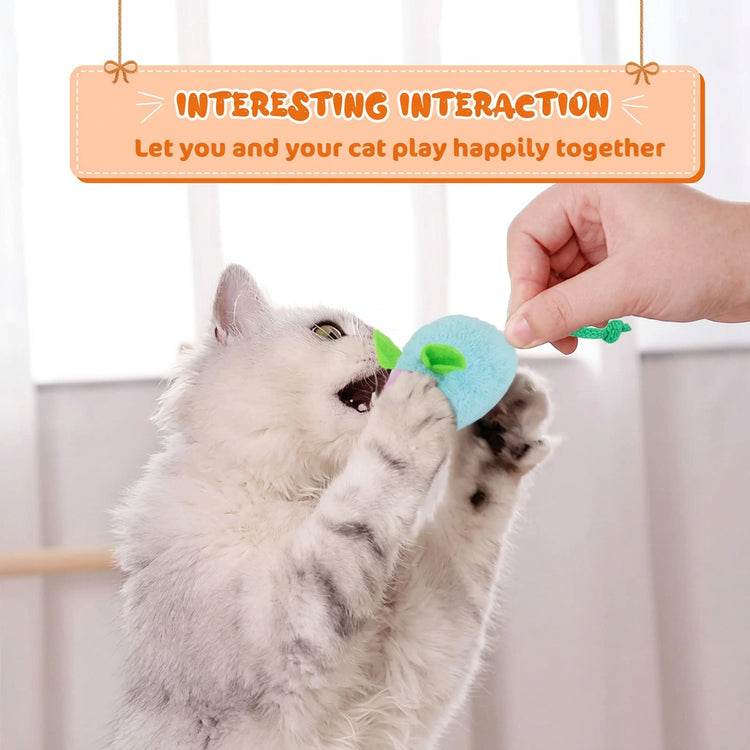 Cat Toy
