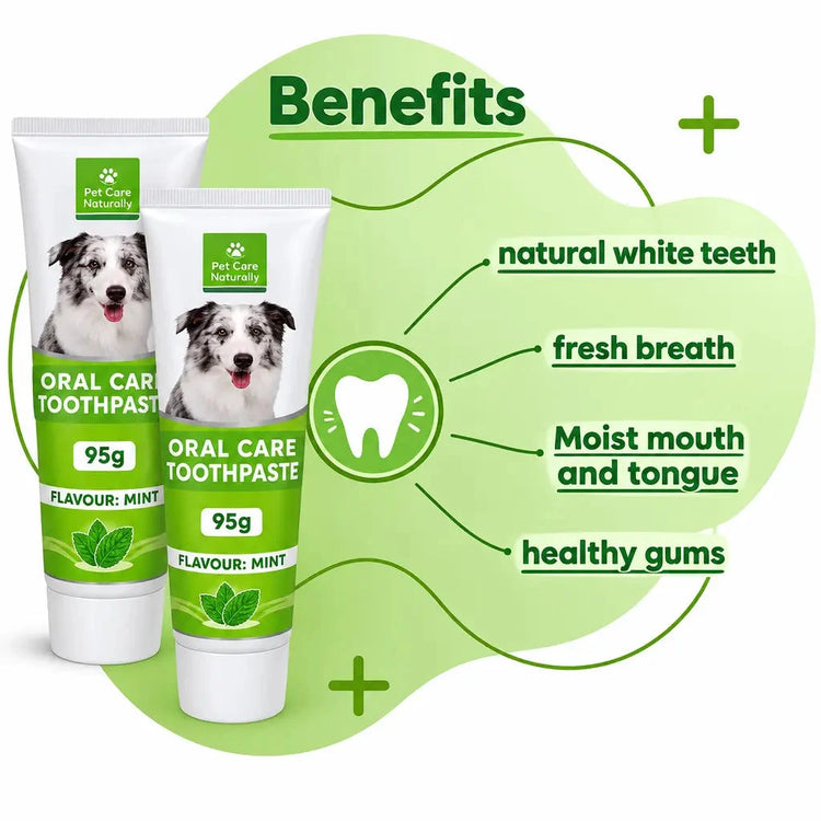 DesiTails Bio-Enzyme Mint Dog Toothpaste, 95g, promotes dental health with fresh breath and healthy gums.