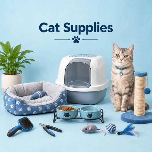 Cat Supplies