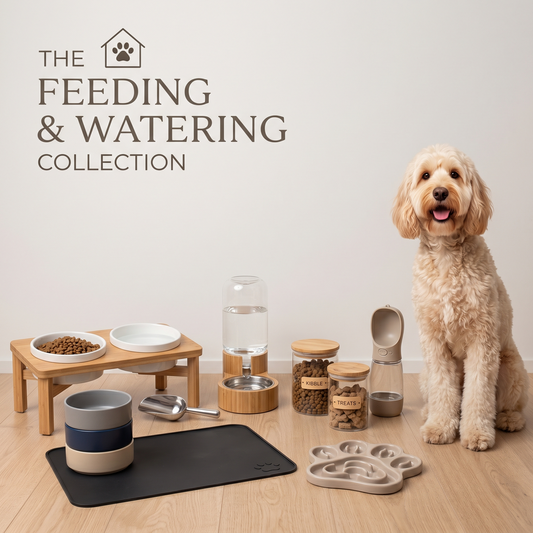 Feeding & Watering
