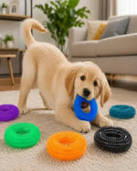 Chew Ring