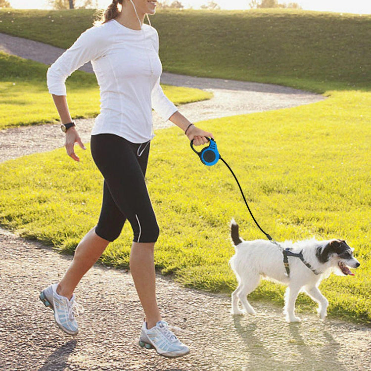 Automatic Retractable Dog Leash - Dual Size Options with Brake & Lock Safety System - GleeKart