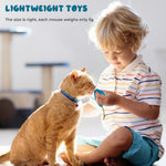 Cat Toy