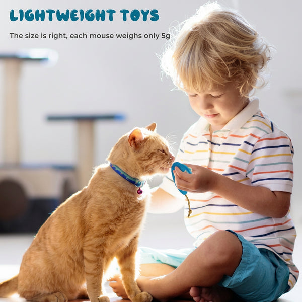 Cat Toy