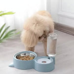 DesiTails® 2-in-1 Pet Bowl Set with Automatic Water Dispenser Endurance