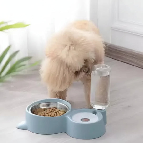DesiTails® 2-in-1 Pet Bowl Set with Automatic Water Dispenser Endurance