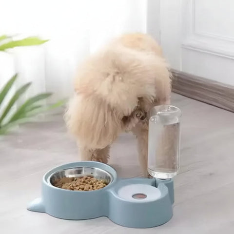 DesiTails® 2-in-1 Pet Bowl Set with Automatic Water Dispenser Endurance
