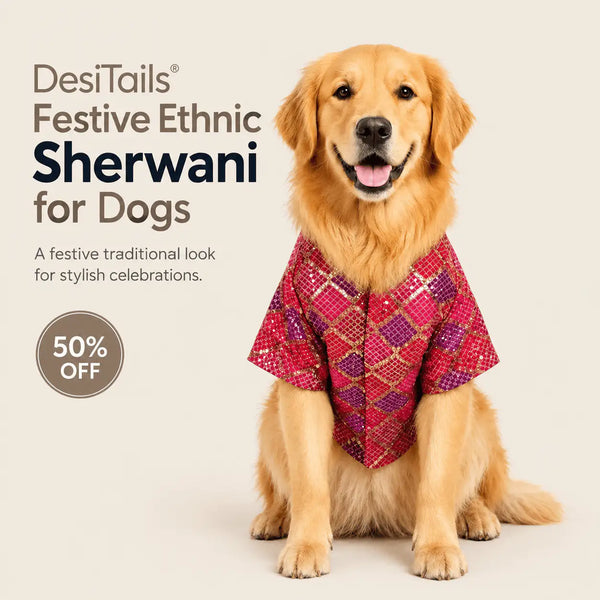 DesiTails® Festive Ethnic Sherwani for Dogs