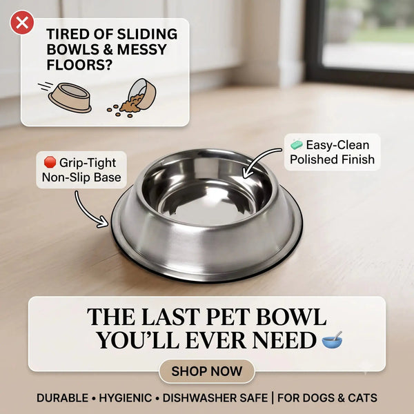 DesiTails® Grip-Tight Stainless Steel Dog Bowl - Set of 2