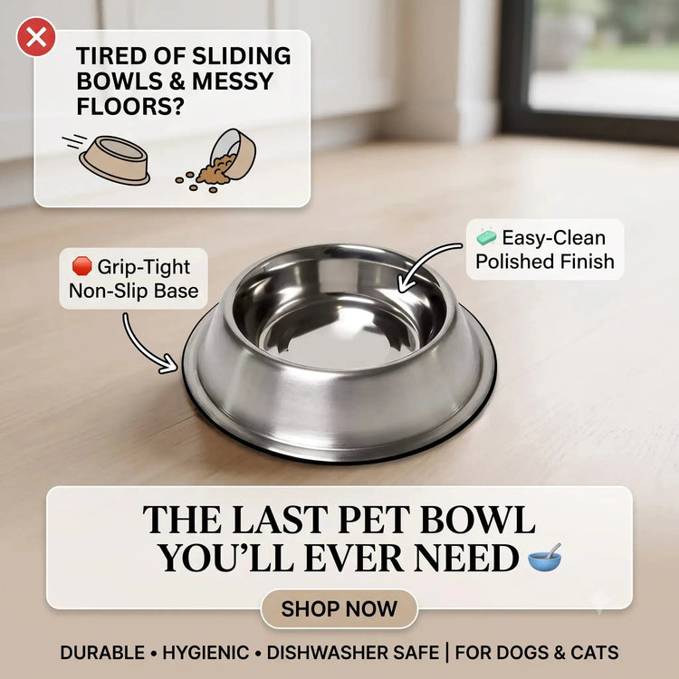 DesiTails® Grip-Tight Stainless Steel Dog Bowl - Set of 2