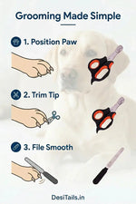 DesiTails® Stainless Steel Pet Nail Clipper & File Set (Medium / Black)