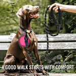 DesiTails® Reflective Heavy-Duty Rope Dog Leash (5 ft)