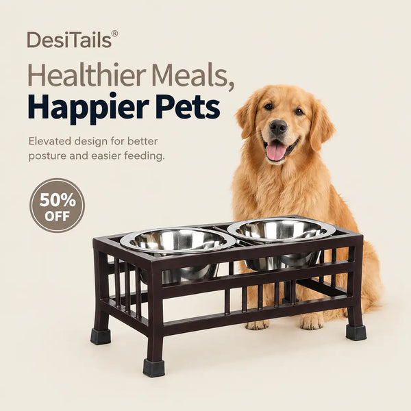 DesiTails® Elevated Stainless Steel Double Pet Feeder Stand (950ml x 2)