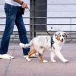 DesiTails® Reflective Heavy-Duty Rope Dog Leash (5 ft)