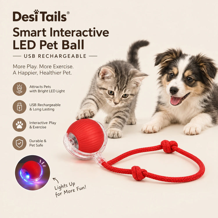 DesiTails® Smart Interactive LED Pet Ball (USB Rechargeable) DesiTails®