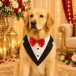 DesiTails® Formal Dog Tuxedo with Red Bow Tie