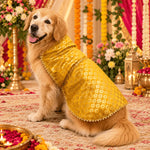 DesiTails® Festive Wedding Kurta for Dogs