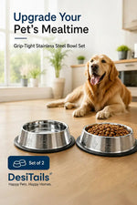 DesiTails® Grip-Tight Stainless Steel Pet Bowl - Set of 2