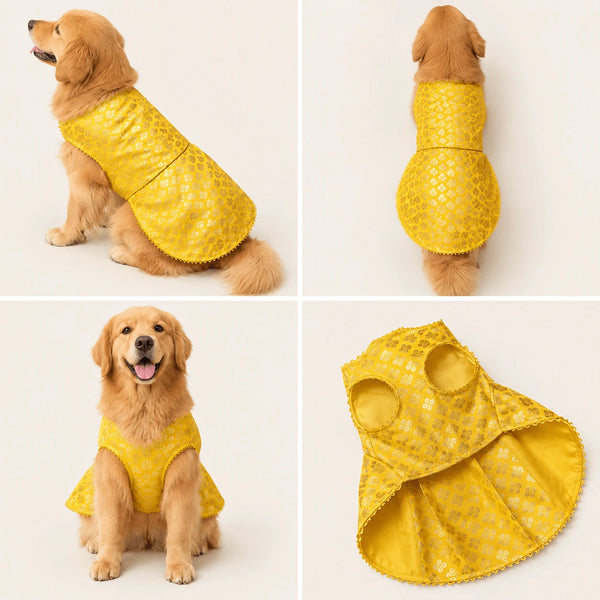 DesiTails® Festive Wedding Kurta for Dogs DesiTails®