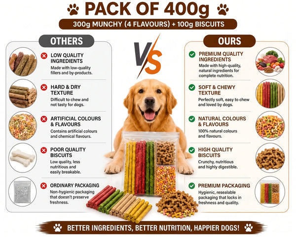 DesiTails® Healthy Dog Treat Combo Pack (300g Munchy Sticks + 100g Biscuits)