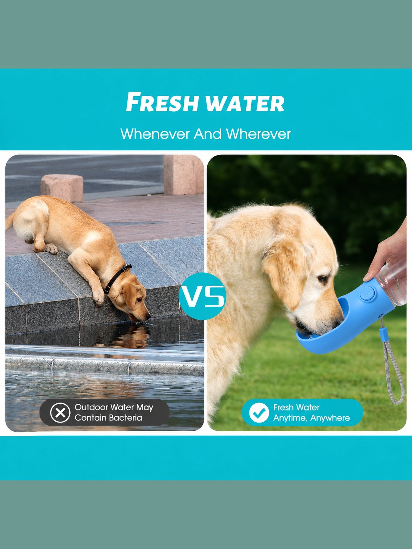 DesiTails® 500ml Portable Dog Water Bottle – Leak-Proof Puppy Water Dispenser with Drinking Feeder | Food Grade Plastic for Outdoor Walking, Hiking & Travel
