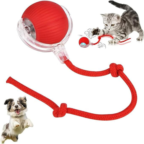 DesiTails® Smart Interactive LED Pet Ball (USB Rechargeable) DesiTails®