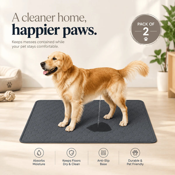 DesiTails® Reusable Washable Puppy Training Pads (Pack of 2) DesiTails®