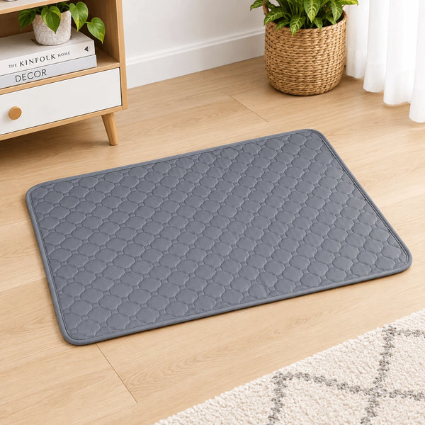 DesiTails® Reusable Washable Puppy Training Pads (Pack of 2) DesiTails®