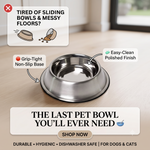 DesiTails® Grip-Tight Stainless Steel Dog Bowl - Set of 2