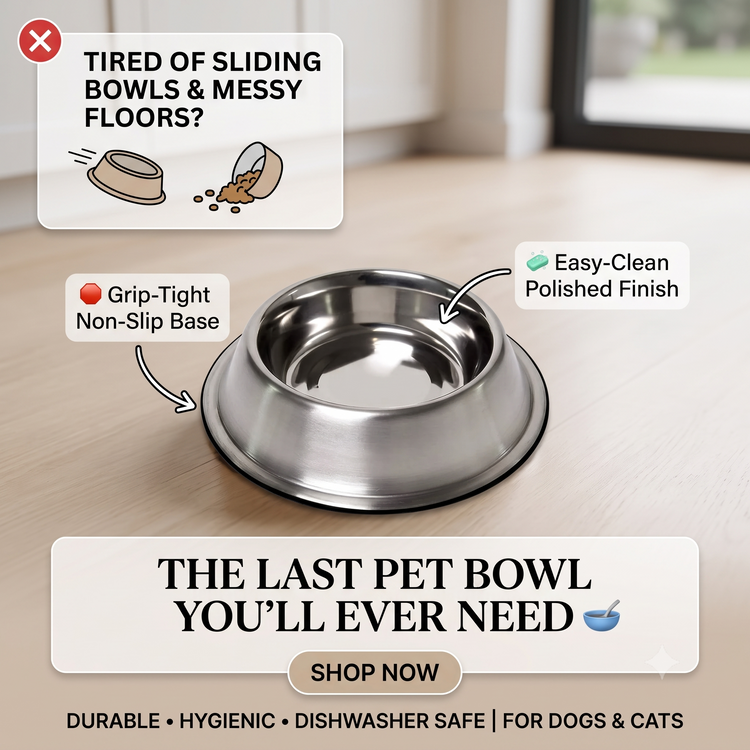 DesiTails® Grip-Tight Stainless Steel Dog Bowl - Set of 2