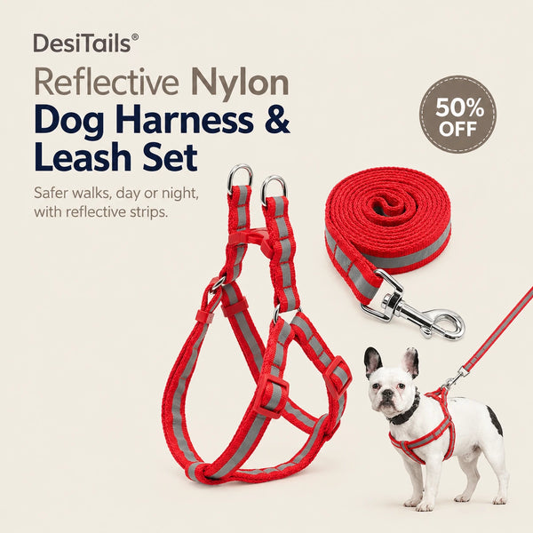 DesiTails® Reflective Nylon Dog Harness & Leash Set (Small / 30–50cm) DesiTails®