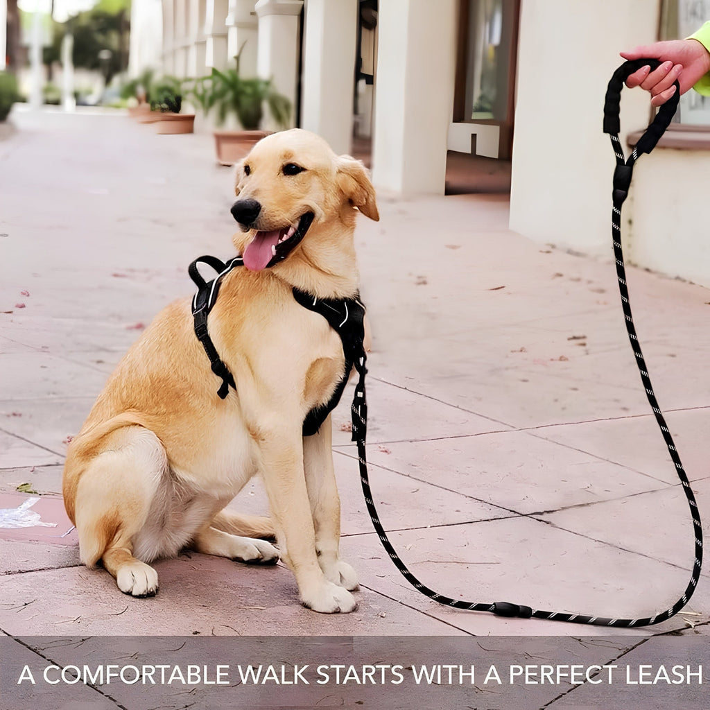 DesiTails® Reflective Rope Dog Leash – Padded Handle, 360° Metal Clasp, 5 ft | For Small, Medium & Large Dogs