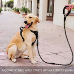 DesiTails® Reflective Rope Dog Leash – Padded Handle, 360° Metal Clasp, 5 ft | For Small, Medium & Large Dogs