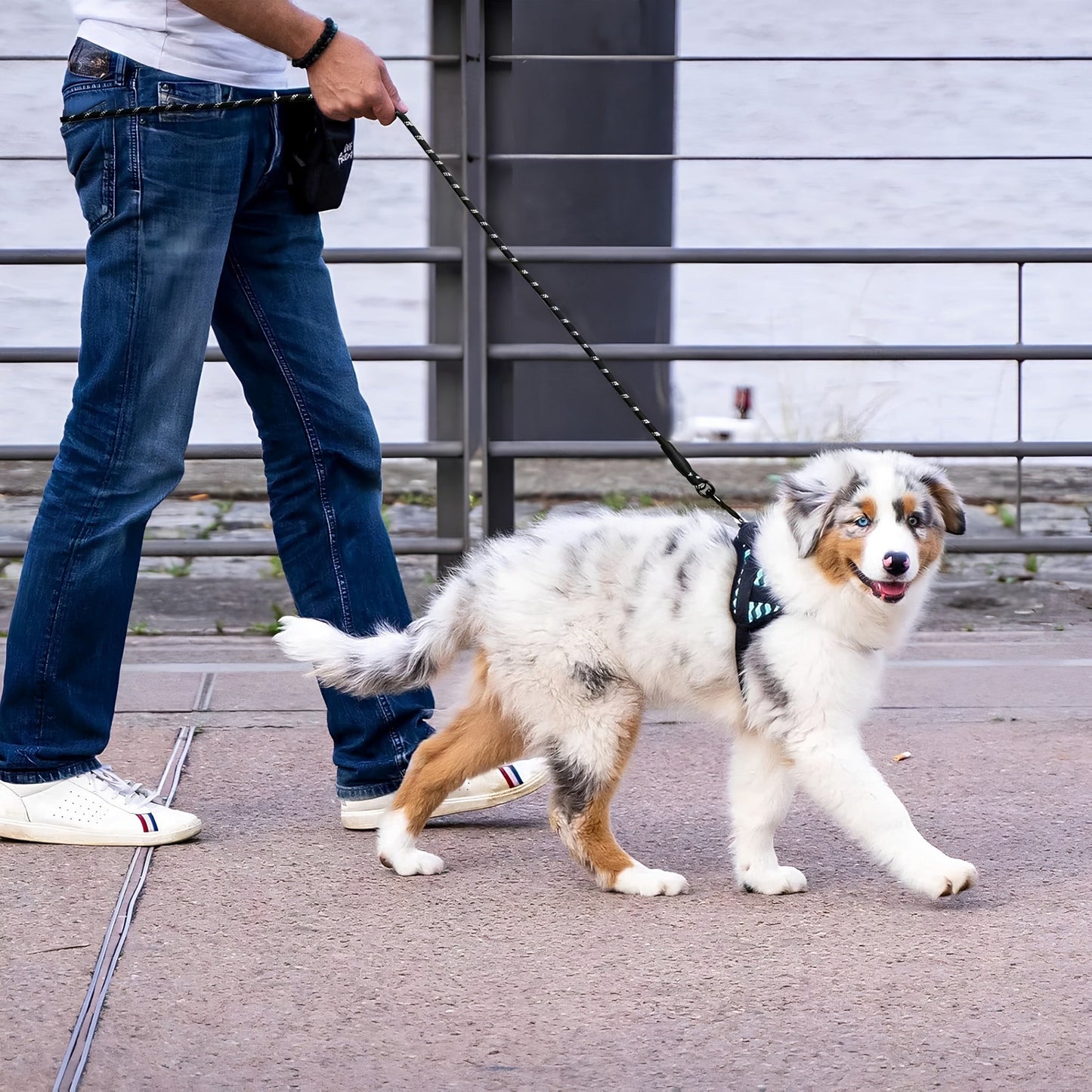 DesiTails® Reflective Rope Dog Leash – Padded Handle, 360° Metal Clasp, 5 ft | For Small, Medium & Large Dogs