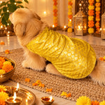 DesiTails® Festive Wedding Kurta for Dogs DesiTails®