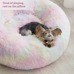DesiTails® Round Pet Bed for Cats & Puppies (50cm, Small Multi) DesiTails®