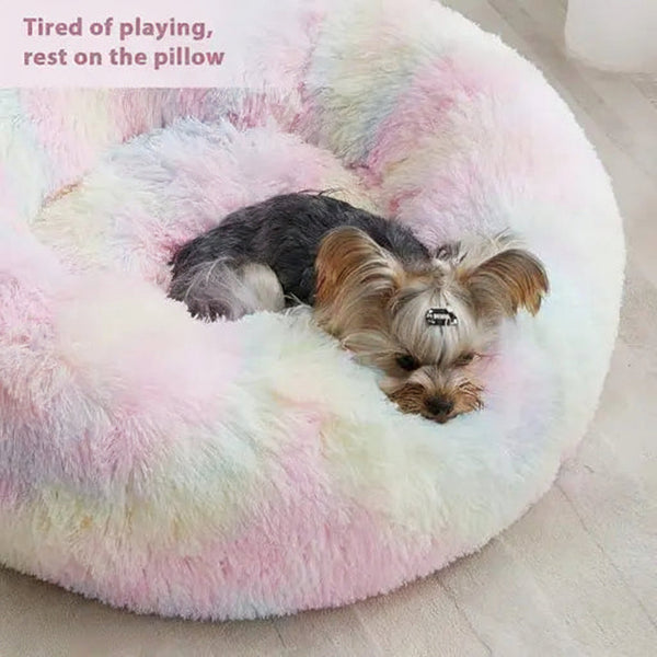DesiTails® Round Pet Bed for Cats & Puppies (50cm, Small Multi) DesiTails®