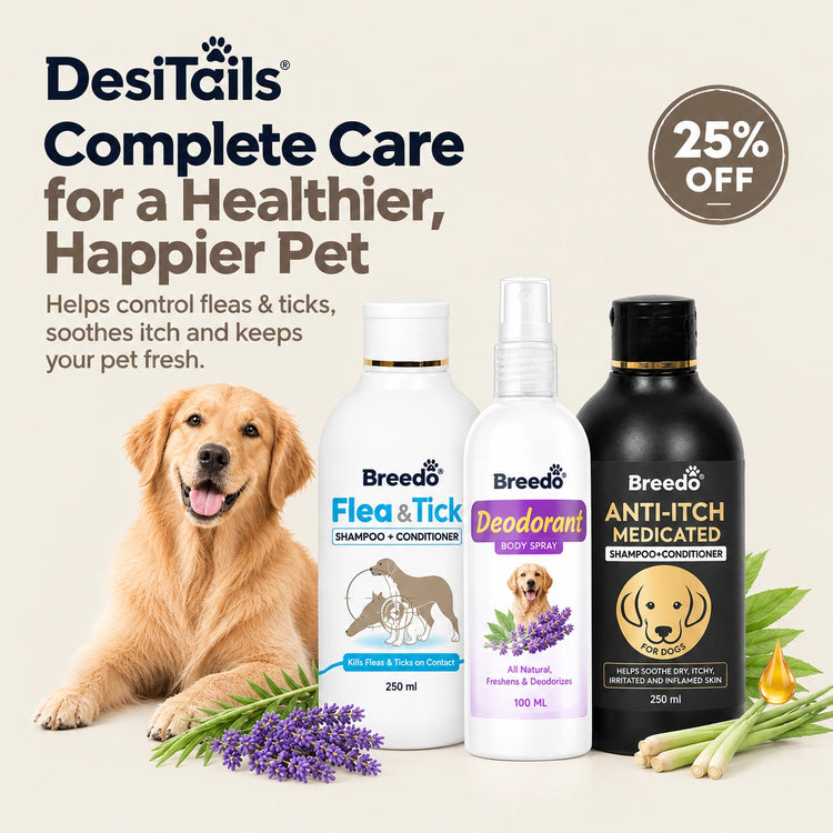 DesiTails® 3-in-1 Flea & Tick Care, Anti-Itch Shampoo & Deodorant Spray Kit (600ml)