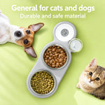 DesiTails® 3-in-1 Food & Automatic Water Dispenser Bowl Set for Dogs & Cats