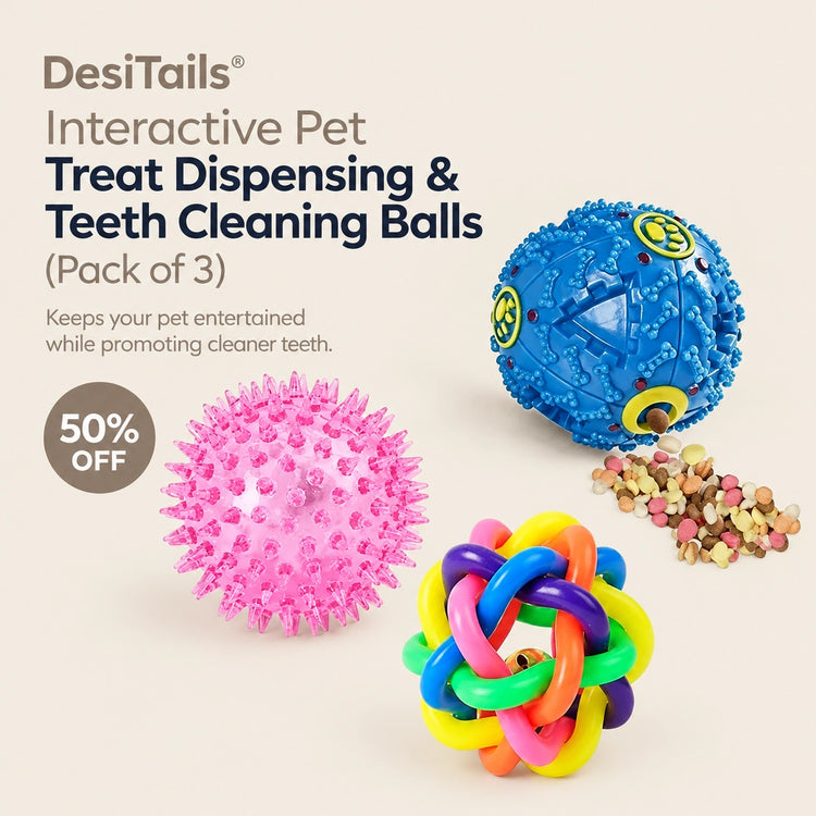DesiTails® Interactive Pet Treat Dispensing & Teeth Cleaning Balls (Pack of 3)