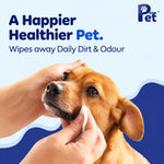 DesiTails Wipe ME 100% Biodegradable 100 Count (Pack of 6 x 100) Wet Wipes for Dogs, & All Pets | Purified Water, Fragrance, Glycerin | Anti-Bacterial | Cleansing, Deodorising & Grooming Wipes