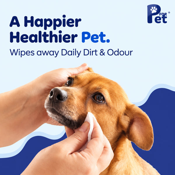 DesiTails Wipe ME 100% Biodegradable 100 Count (Pack of 6 x 100) Wet Wipes for Dogs, & All Pets | Purified Water, Fragrance, Glycerin | Anti-Bacterial | Cleansing, Deodorising & Grooming Wipes