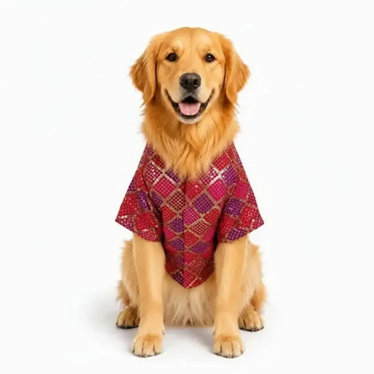 DesiTails® Festive Ethnic Sherwani for Dogs DesiTails®