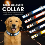 DesiTails® High-Visibility Reflective Dog Collars (Pack of 5) DesiTails®
