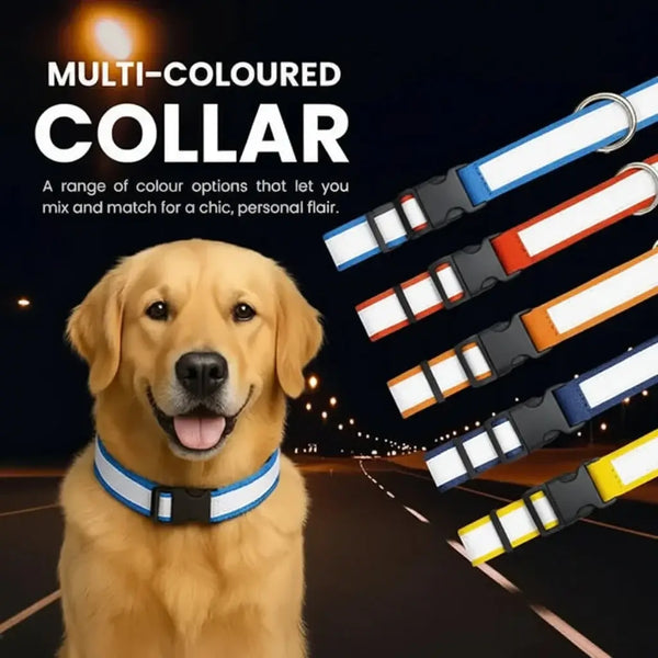 DesiTails® High-Visibility Reflective Dog Collars (Pack of 5) DesiTails®